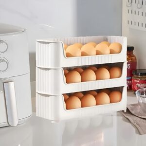 Egg Storage Box 1 pc